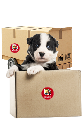 ทีมแรงงานย้ายคอนโด ใกล้พื้นที่ของคุณ